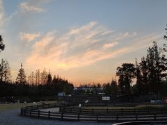 -前小桔亲子创意农场·草莓采摘·露营烧烤