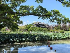 -江心屿景区