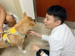 -美联众合动物医院·24h转诊中心