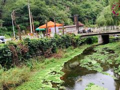 -Local泰莲庭(虹鳟鱼店)