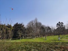 -桤木河湿地公园