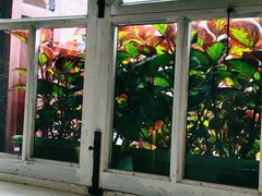 -糯米香(长江路店)