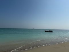 -琼海·狮椰美食楼