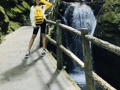 -牛背梁国家森林公园