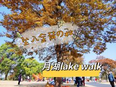 -上海月湖雕塑公园