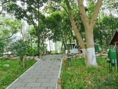 -成都市活水公园