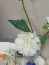 -上海玫瑰医疗美容医院