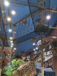 -卡通尼·Safari非洲探索乐园·生日会(金桥国际商业广场店)