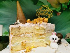 -维尔纳斯·生日蛋糕·动物奶油冰淇淋蛋糕(六里桥店)