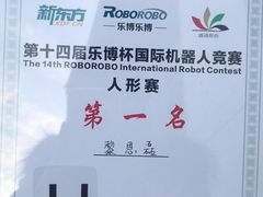 -乐博乐博少儿编程·机器人编程·信息学竞赛(杨浦五角场校区)