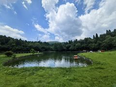 -武陵山森林公园