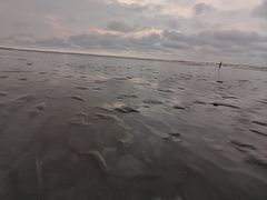 -南汇新城海滩