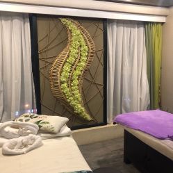 -青青一生美皮肤管理