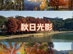 -尚贤河湿地