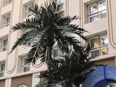 -天伦王朝酒店·盛华瑄餐厅