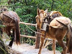 -东南悬空寺方广岩
