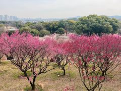 -无锡梅园公园