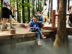 -东湖落雁景区