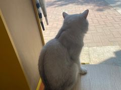 -平行世界·猫咖(首经贸店)