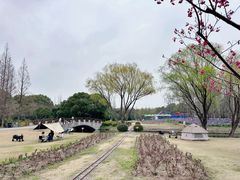 -上海滨江森林公园