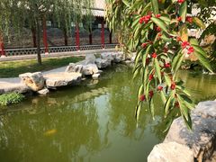 -杨家埠民间艺术大观园
