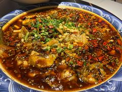 -新概念来凤鱼(璧山店)