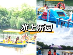 -荔湾湖公园