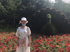 -长白岛森林公园