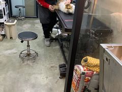 -PETKIT小佩宠物·低压洗护(国顺东路店)