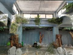 -海南热带野生动植物园