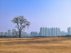 -盘龙城国家考古遗址公园