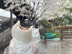 -鸣鹤古镇