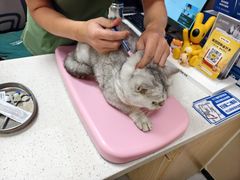 -瑞鹏宠物医院·普外科·影像科·皮肤科(城市山谷分院)