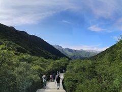 -黄龙山原始森林景区