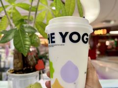 -一只酸奶牛(兰州中心店)