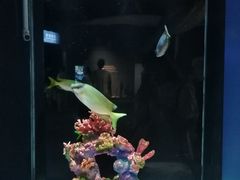-重庆欢乐海底世界
