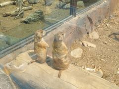 -大连森林动物园