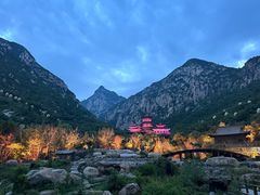 -禅宗少林·音乐大典