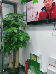 -资医堂·除疤祛痘祛斑