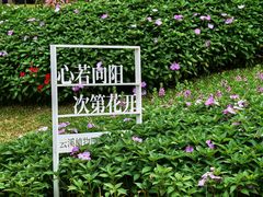 -云溪植物园