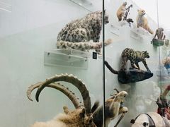 -国家自然博物馆