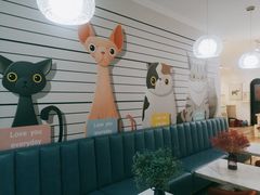 -Tomado绿色烘焙(大尧三路店)
