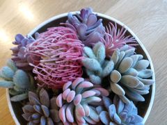 -怡情荟•海鲜青岛菜(五四广场旗舰店)
