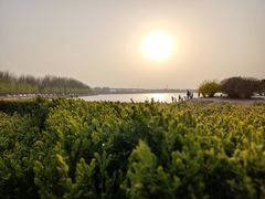 -丁香湖公园