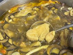 -菌极鲜野生菌火锅店(阳明祠店)