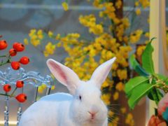 -中国丝业博物馆