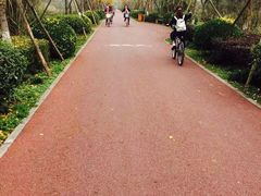 -白鹭湾湿地公园