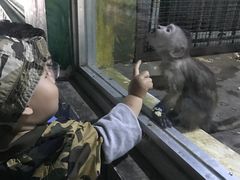 -西安秦岭野生动物园