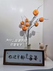 -DELAVAY黛乐薇抗衰中心
