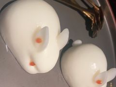 -荣公子创意菜
